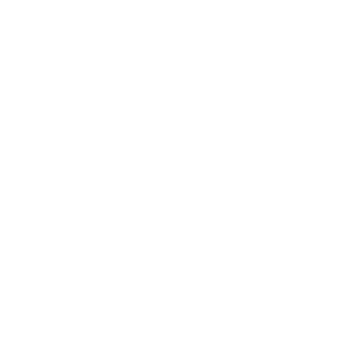 Seguridad en viaje a China